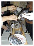 Vinification